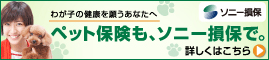 ソニー損害保険株式会社