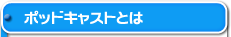 �|�b�h�L���X�e�B���O�Ƃ�