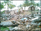 ５月２１日放送　『スマトラ沖地震・タイの被災地リポート』