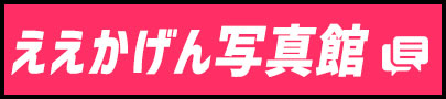 今週の放送