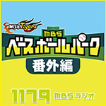 ベースボールパーク番外編