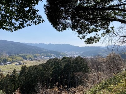 甘樫丘3