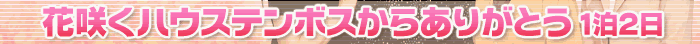 ԍ炭nEXe{X炠肪Ƃ@12